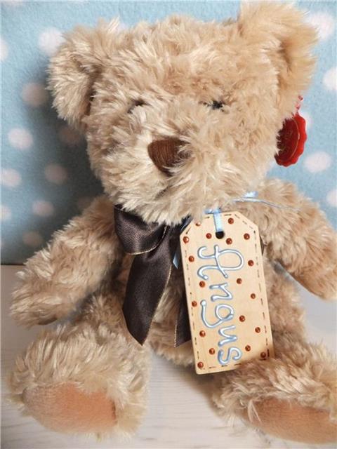 Personalised Teddy Bear - Angus