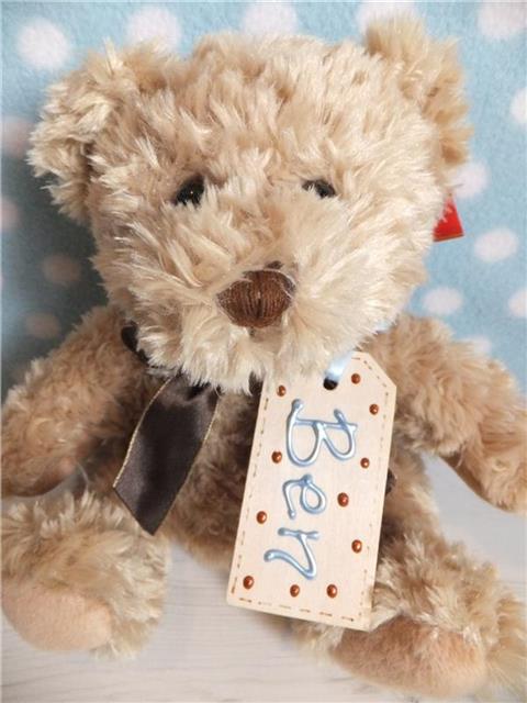 Personalised Teddy Bear - Ben
