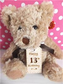Happy 13th Birthday Teddy Bear