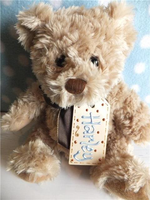 Personalised Teddy Bear - Harley