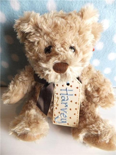 Personalised Teddy Bear - Harvey