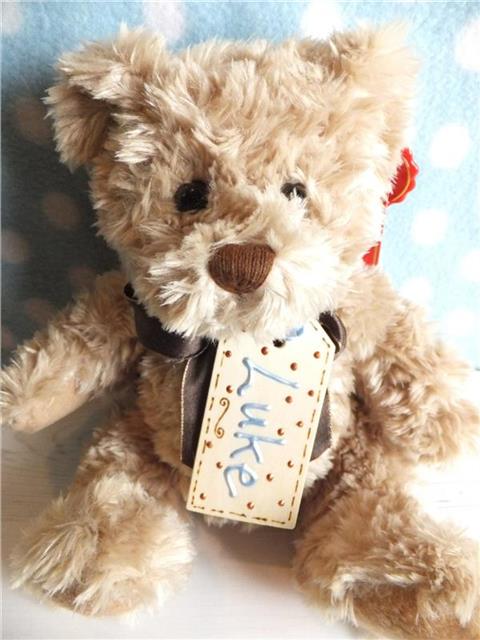 Personalised Teddy Bear - Luke